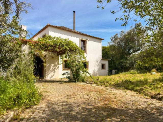 Quinta venda em Montemor-o-novo, Évora