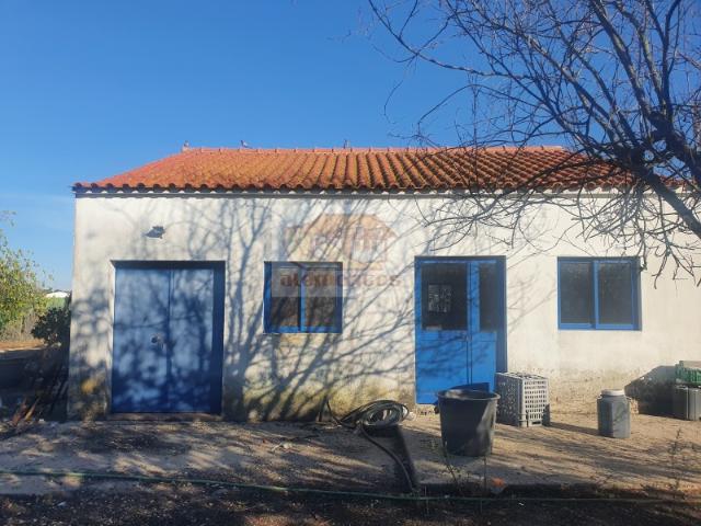 Quinta venda em Grândola, Setúbal