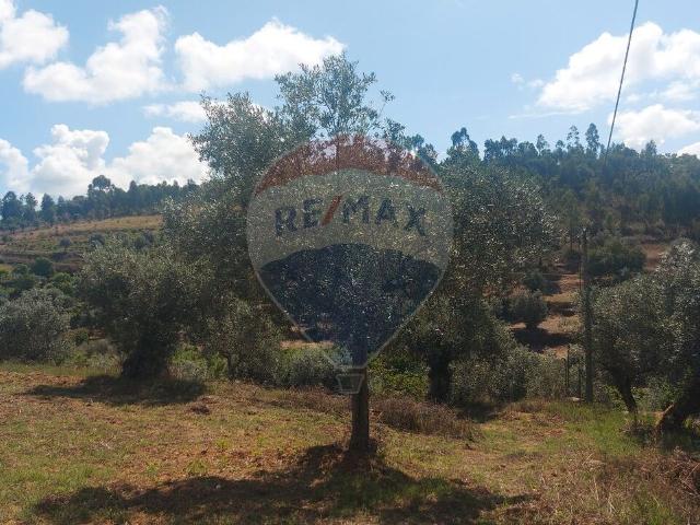Quinta venda em Engarnais Fundeiros, Abrantes