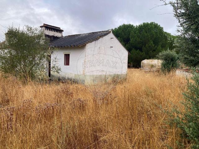 Quinta venda em Abrantes, Santarém