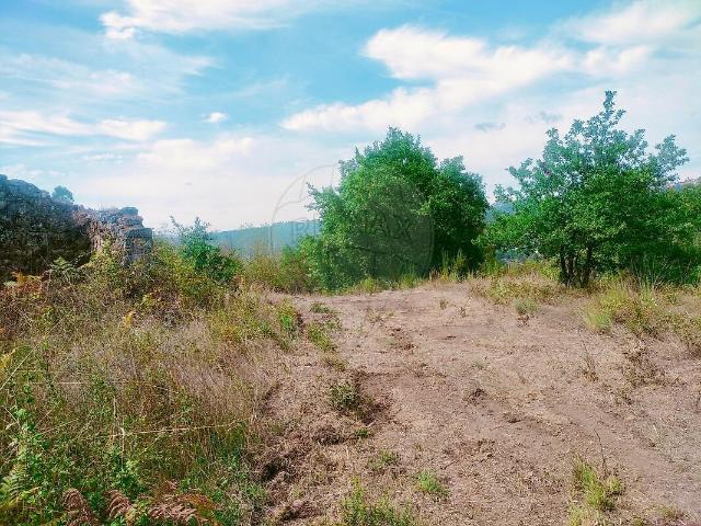 Quinta venda em Alcafache, Mangualde