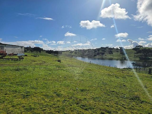 Quinta venda em Alcórrego e Maranhão, Avis