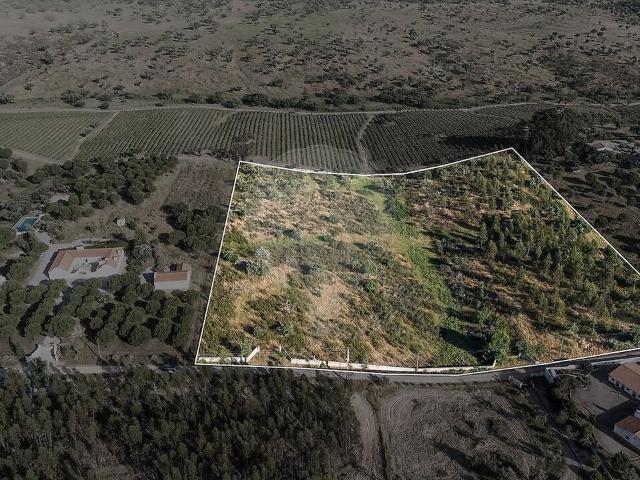 Quinta venda em Alcórrego e Maranhão, Avis