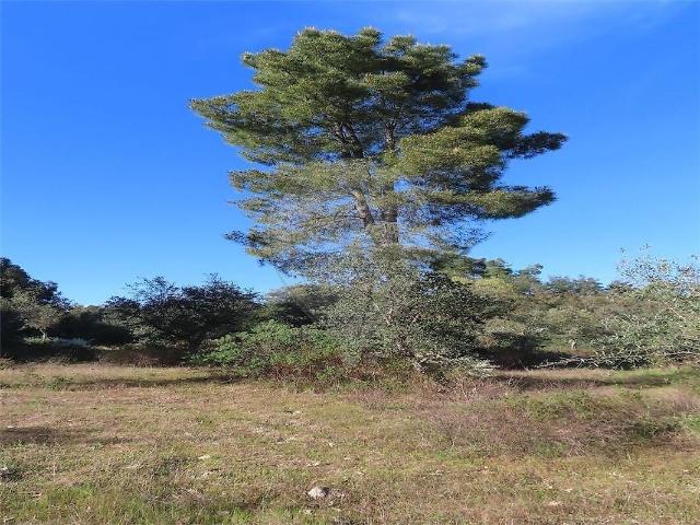 Quinta venda em Aldeia do Bispo, Águas e Aldeia de João Pires, Penamacor