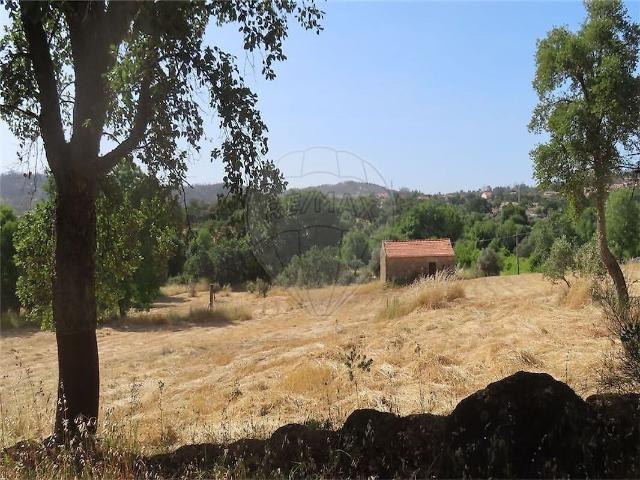 Quinta venda em Penamacor