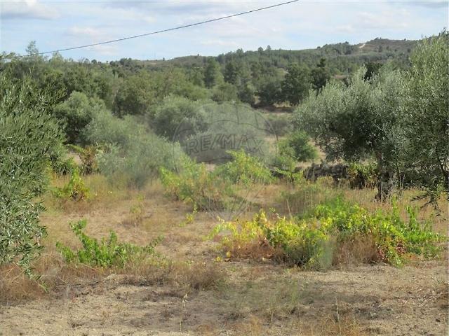Quinta venda em Penamacor