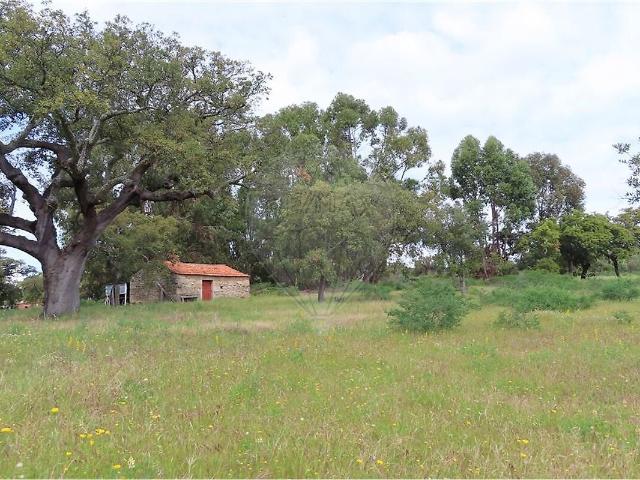 Quinta venda em Aldeia do Bispo, Águas e Aldeia de João Pires, Penamacor