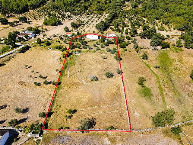 Quinta venda em Reguengo e São Julião, Portalegre