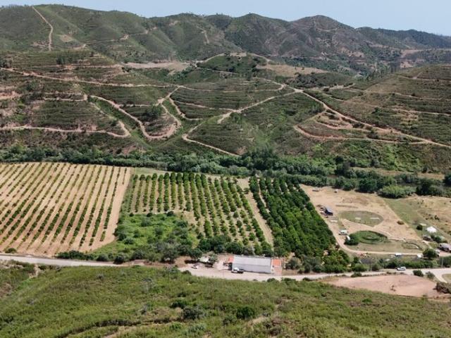 Quinta venda em Monchique, Faro