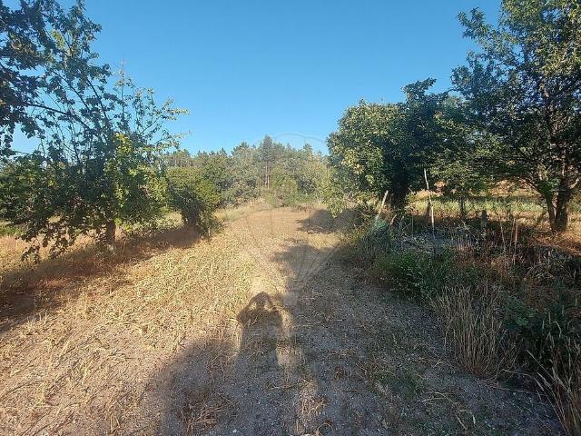 Quinta venda em Rancosinho, Algodres