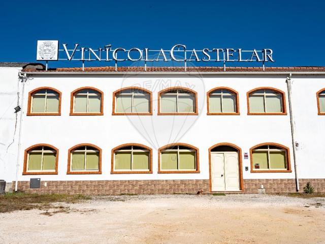 Quinta venda em Aveiro, Avelãs de Caminho