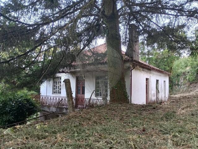 Quinta venda em Rio Frio, Arcos De Valdevez