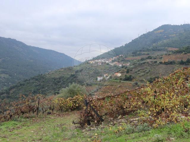 Quinta venda em Aldeias, Viseu