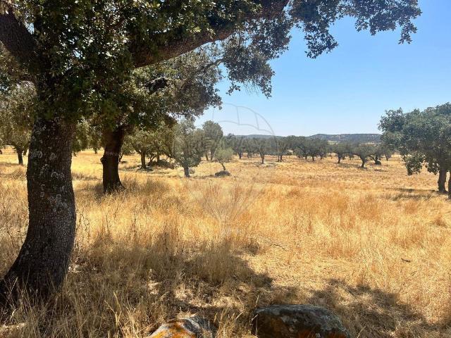 Quinta venda em Arraiolos, Évora