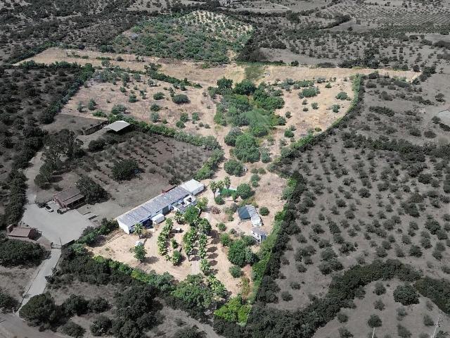 Quinta venda em Bairro do Morgadinho, Elvas