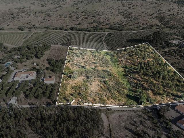 Quinta venda em Portalegre, Covões