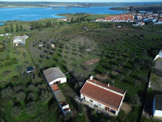 Quinta venda em Avis, Portalegre