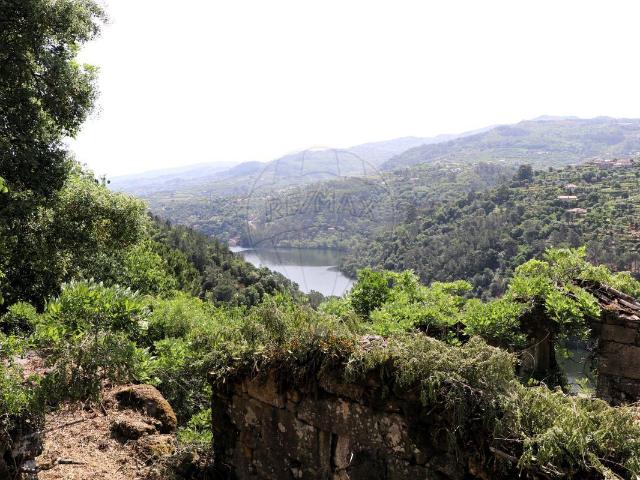Quinta venda em Baião, Porto