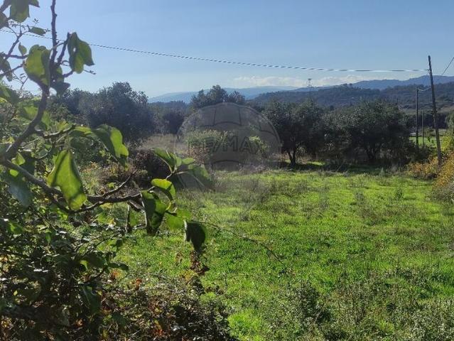 Quinta venda em Belmonte
