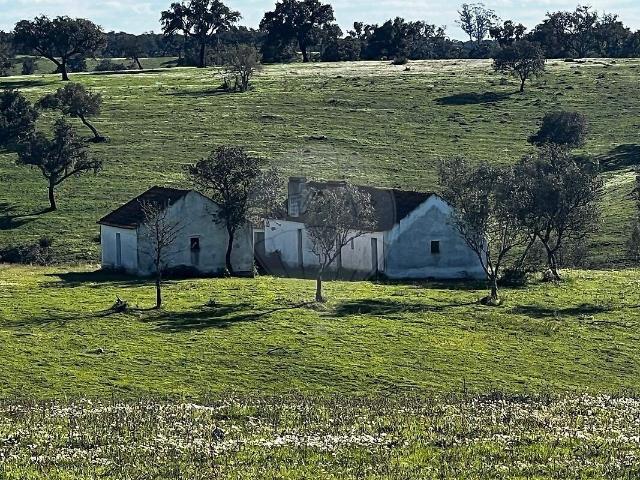 Quinta venda em Cabrela, Montemor-o-Novo