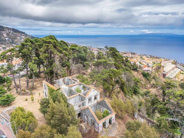 Quinta venda em Azenha, Santa Cruz