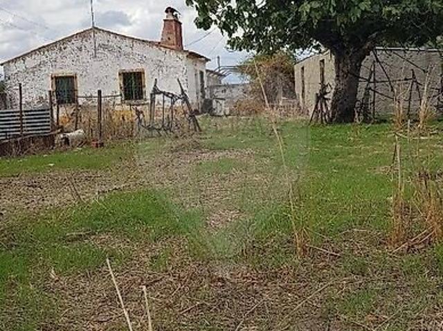 Quinta venda em Cano, Sousel