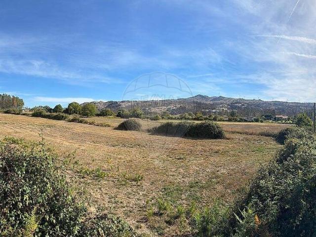 Quinta venda em Carapito, Aguiar da Beira