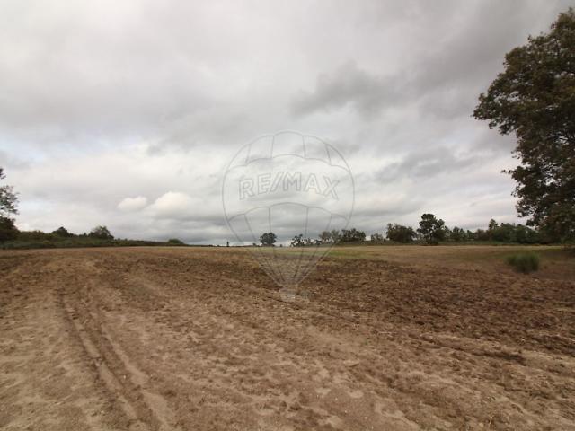 Quinta venda em Caria, Belmonte