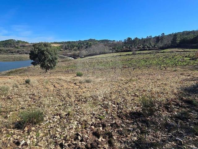 Quinta venda em Caria, Belmonte