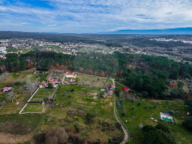 Quinta venda em Carregal Do Sal, Viseu