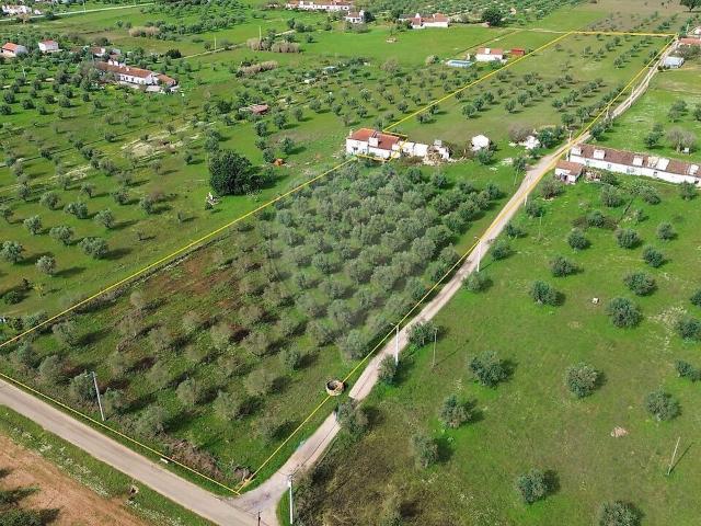 Quinta venda em Casa Branca, Sousel