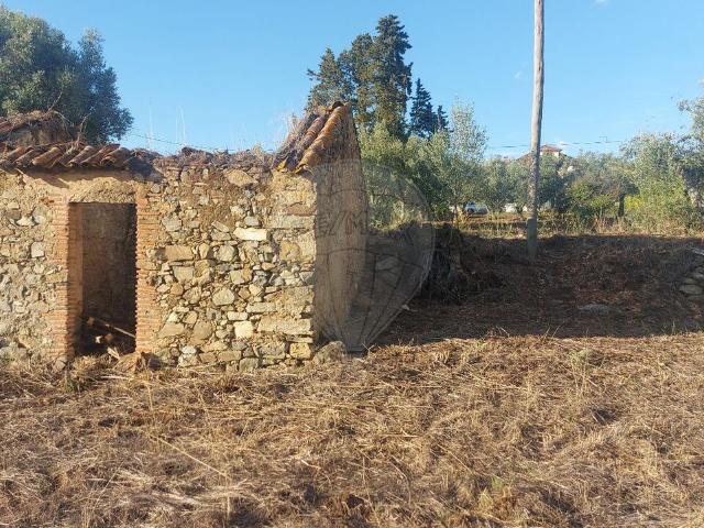 Quinta venda em Abrantes, Santarém