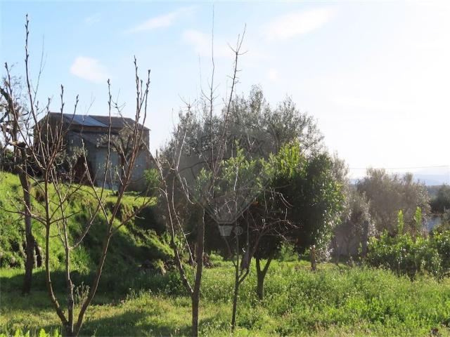 Quinta venda em Castelo Branco