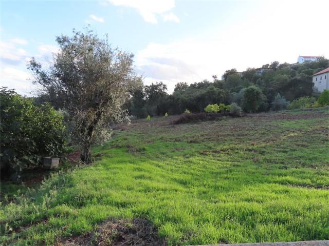 Quinta venda em Castelo Branco