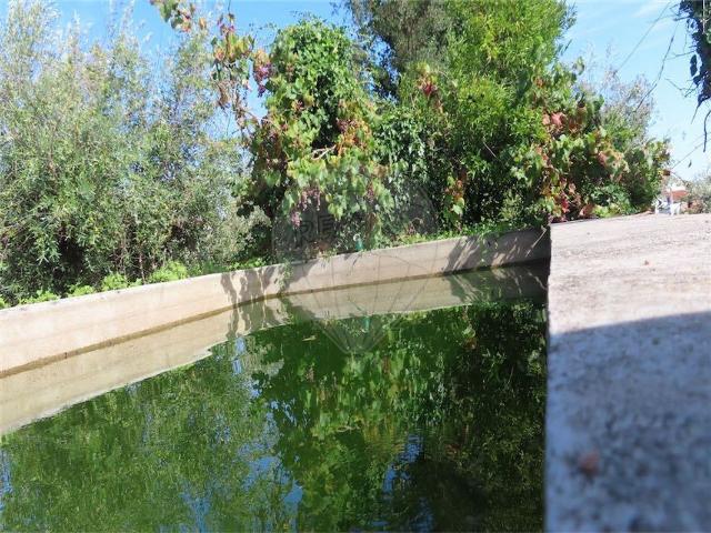 Quinta venda em Castelo Branco