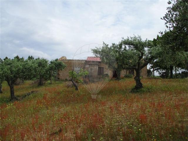 Quinta venda em Castelo Branco