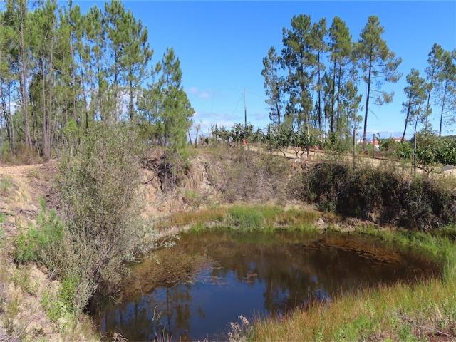 Quinta venda em Castelo Branco