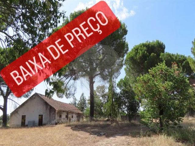 Quinta venda em Castelo Branco