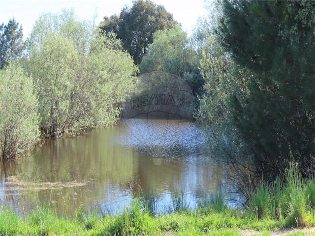 Quinta venda em Castelo Branco