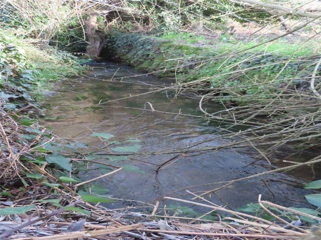 Quinta venda em Castelo Branco