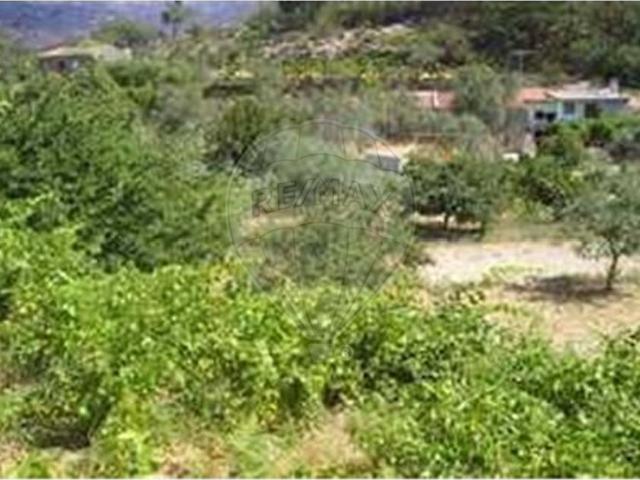 Quinta venda em Castelo Branco