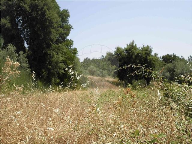 Quinta venda em Castelo Branco