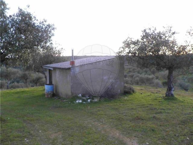 Quinta venda em Castelo Branco