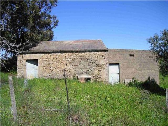 Quinta venda em Castelo Branco