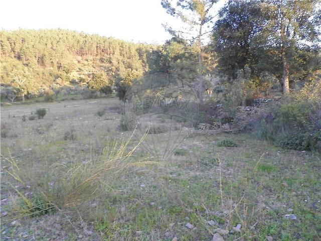 Quinta venda em Castelo Branco