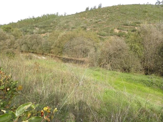 Quinta venda em Castelo Branco