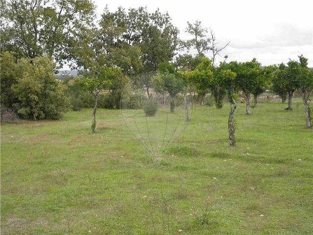 Quinta venda em Castelo Branco