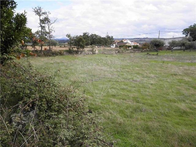 Quinta venda em Castelo Branco