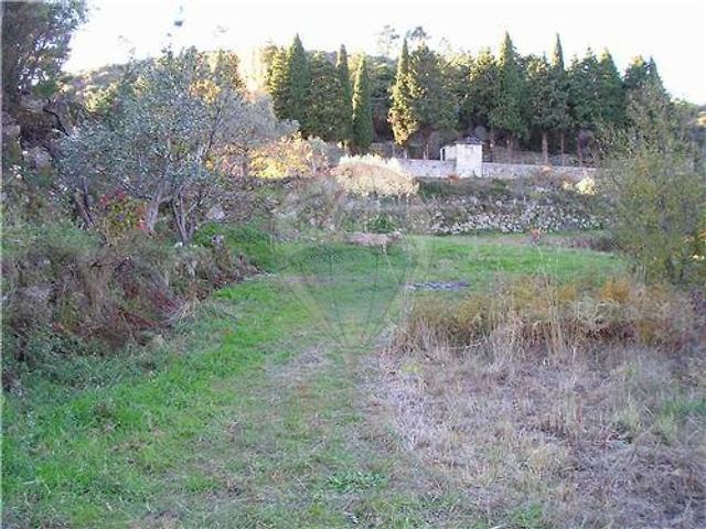 Quinta venda em Bairro do Barrocal, Castelo Branco