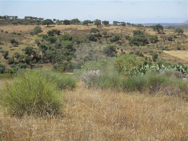 Quinta venda em Mata, Castelo Branco